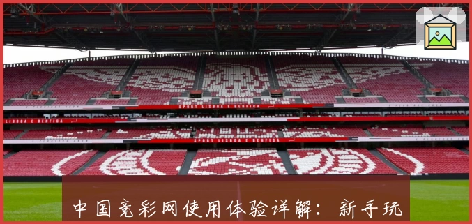 中国竞彩网使用体验详解：新手玩家指南与特色功能全面解读
