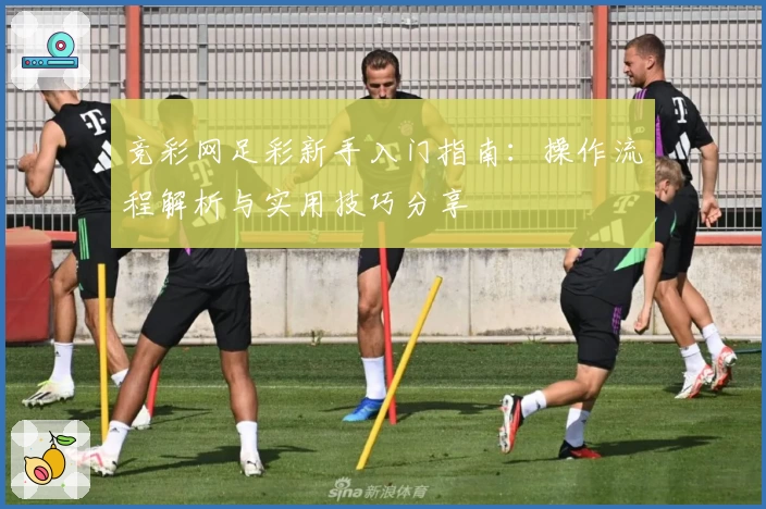 竞彩网足彩新手入门指南：操作流程解析与实用技巧分享