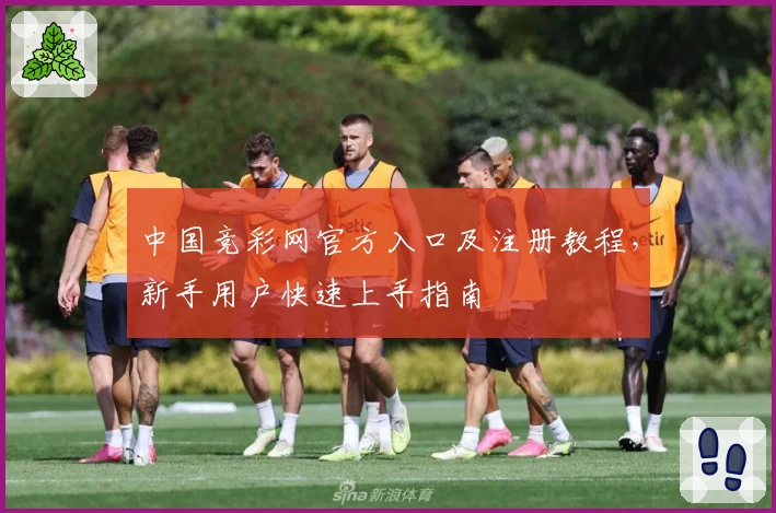 中国竞彩网官方入口及注册教程，新手用户快速上手指南