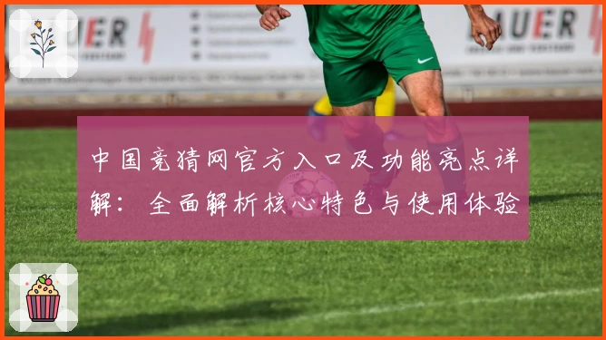 中国竞猜网官方入口及功能亮点详解：全面解析核心特色与使用体验